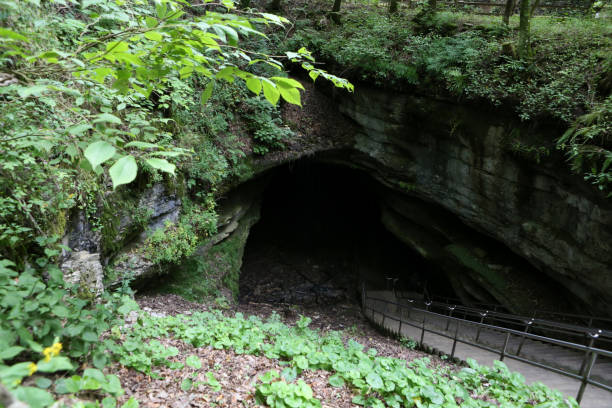 istock Entrance to Cavern in Tennessee 1503129229