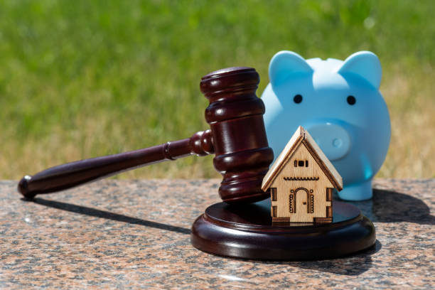 istock judge's gavel on a natural background 1503154025