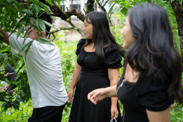 istock Happy asian family picking fruit on tree 1503165491