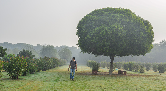 A man walking at green park with a huge tree in early morning.