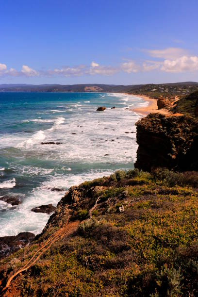istock Great Ocean Road Coastline 1503195890