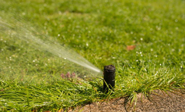 istock Automatic Garden Lawn sprinkler in action watering grass. 1503197375