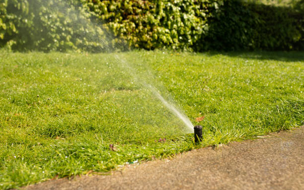 istock Automatic Garden Lawn sprinkler in action watering grass. 1503197376