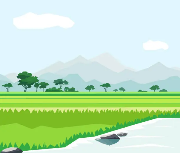 Vector illustration of Beautiful ricefield landscape with mountains and river vector illustration