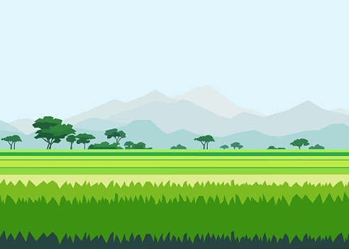 Beautiful ricefield landscape with mountains vector illustration