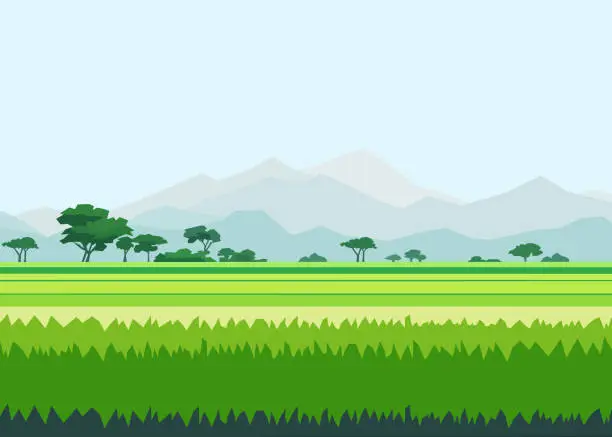 Vector illustration of Beautiful ricefield landscape with mountains vector illustration