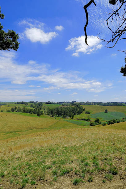 istock Kurumburra,  Victoria,  Australia 1503201223