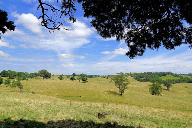 istock Kurumburra,  Victoria,  Australia 1503201224