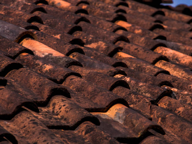 istock View of red roof tiles 1503202232
