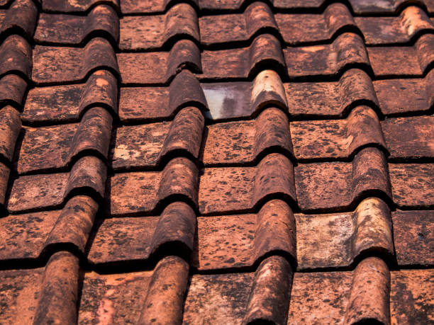 istock View of red roof tiles 1503202503