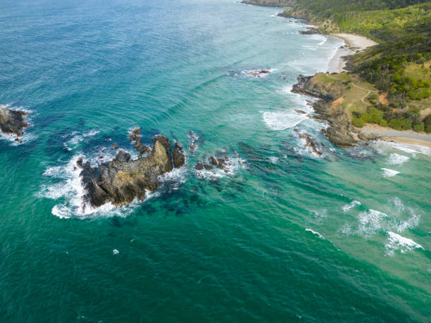 istock Broken Head Nature Reserve, Byron Bay, New South Wales 1503205430