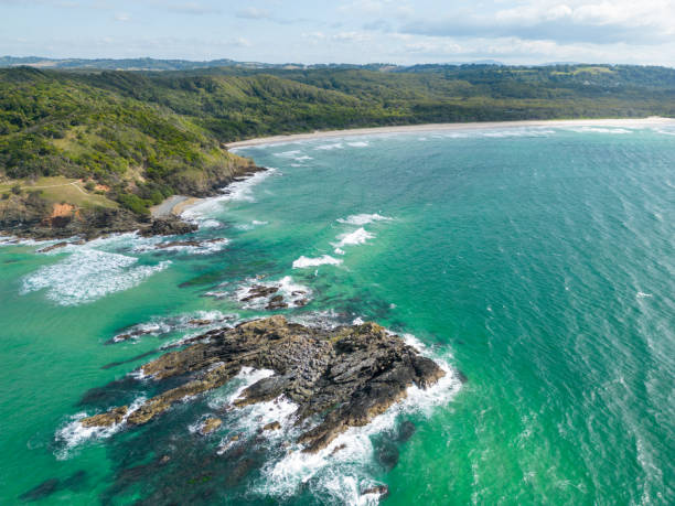 istock Broken Head Nature Reserve, Byron Bay, New South Wales 1503206071