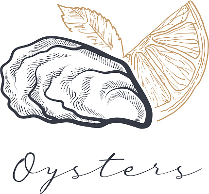 Closed oyster shell with lemon and leaf hand drawn sketch vector illustration, logo design.