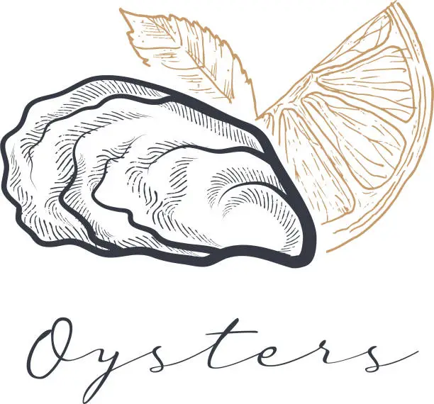 Vector illustration of Oyster with lemon and text under