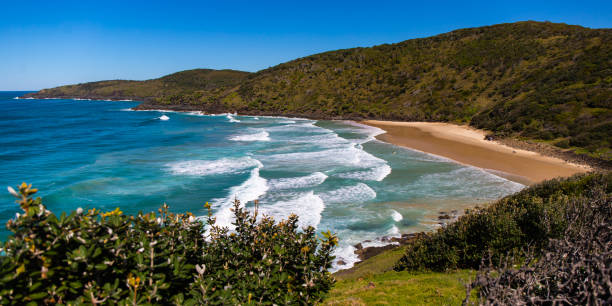 istock green hills covered with juicy grass by the ocean, beautiful beach surrounded by cliffs in Australia, o'connors beach in hat head national park, NSW 1503208742