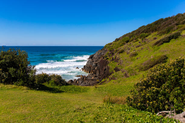 istock green hills covered with juicy grass by the ocean, beautiful beach surrounded by cliffs in Australia, o'connors beach in hat head national park, NSW 1503208901