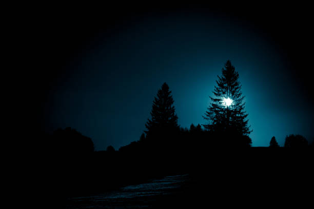 istock Full moon through the spruce tree branches on a mountain hill. Magic mysterious night. Halloween backdrop. 1503210278