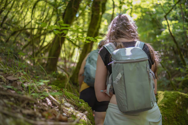 istock Hiking in the forest to see a hidden waterfall 1503214648