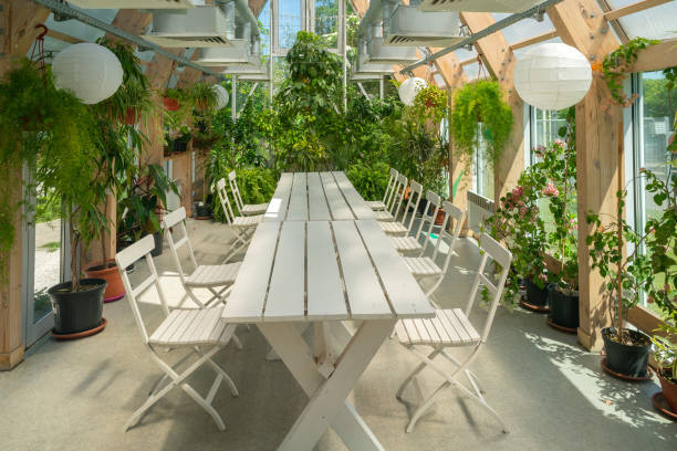 istock Green plants in a pavilion with a glass roof. 1503221239