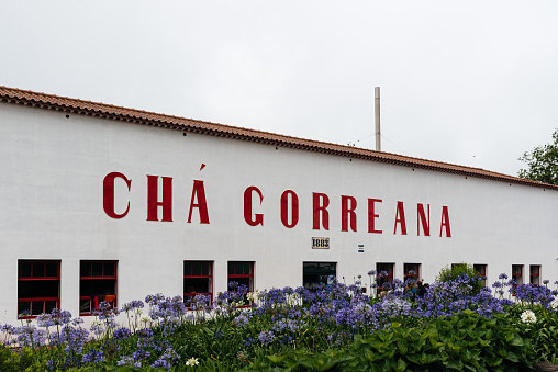 Ponta Delgada, Portugal - July 5th, 20223: Gorreana Tea Factory. It is the oldest tea plantation in Europe. Sao Miguel Island, Azores