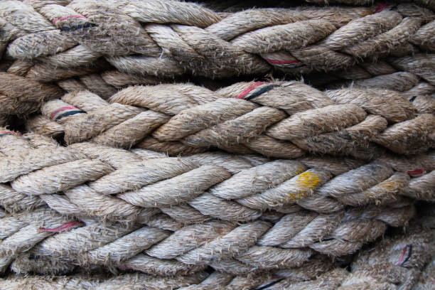 Ship's rope for mooring twisted into a coil.