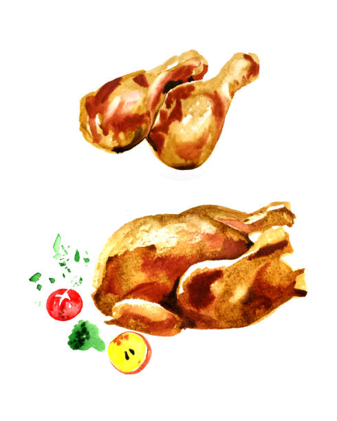 ilustraciones, imágenes clip art, dibujos animados e iconos de stock de ilustración en acuarela de pollo frito sobre fondo blanco. - cooked chicken white background grilled chicken