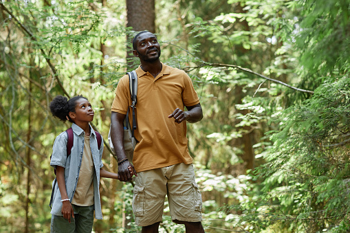 African American dad showing his daughter wild nature during their hiking in the forest