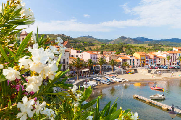 Collioure, France Beach and small marina of Port d'Avall in Collioure, Department Languedoc-Roussillon. collioure stock pictures, royalty-free photos & images