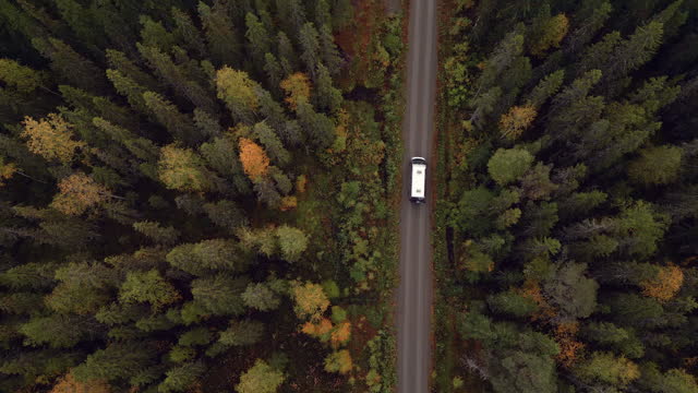 Directly above, aerial: Camper van driving in a forest