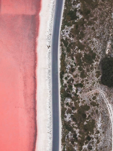 istock The Pink Lake 1503226296