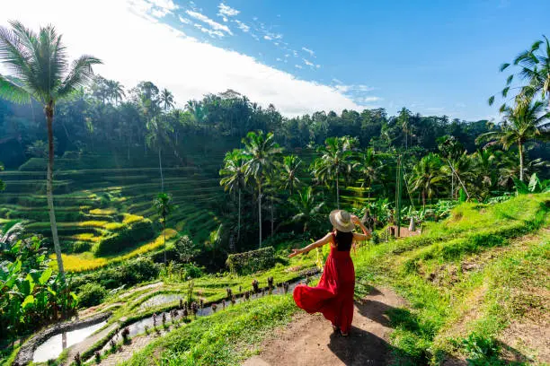 Photo of Young female tourist in red dress looking at the beautiful tegalalang rice terrace in Bali, Indonesia