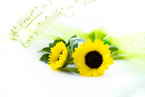istock sun flowers bouquet 1503228933