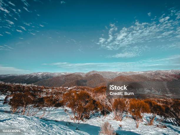Thredbo Snow Stock Photo - Download Image Now - Australia, Thredbo, Beauty In Nature