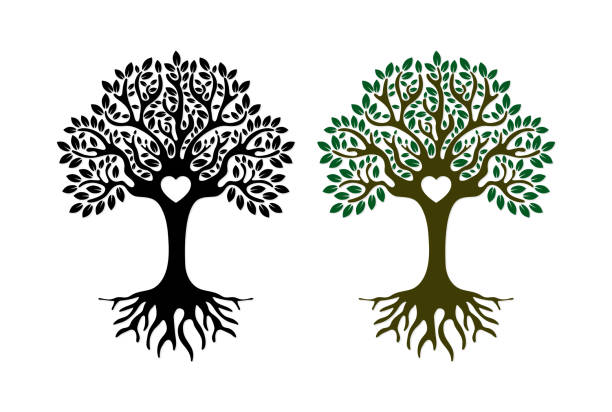 ilustraciones, imágenes clip art, dibujos animados e iconos de stock de árbol genealógico con silueta de raíces - genealogical