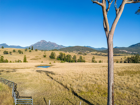 Early morning light on farmland, Scenic Rim near Brisbane, Queensland, Australia