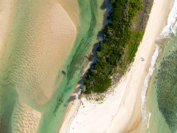 istock Coastal river estuary, New South Wales, Australia 1503231979