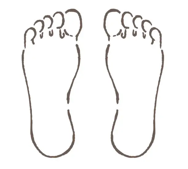 Vector illustration of Sole