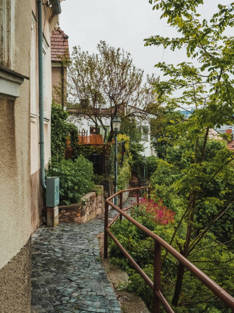 istock Narrow street in Melk, Austria 1503235200