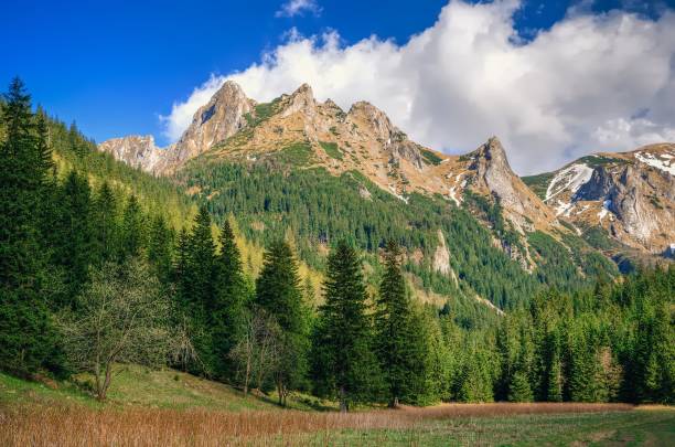 istock Spring mountain landscape in Polish mountains. 1503240162