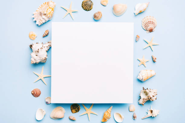 istock Summer time concept with blank greeting card and blank white paper on colored background. Seashells from ocean shore in the shape of frame separated with space for text top view 1503242461