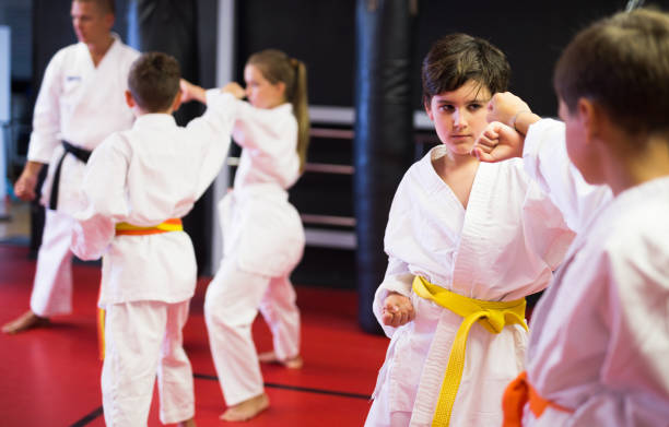 istock Two boys working in pair, mastering new karate moves 1503242693