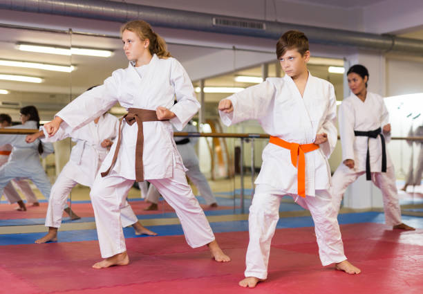 istock Boys and girls are studying karate technique in gym 1503242707