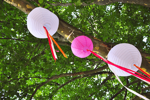 Low angle view of party lanterns on tree
