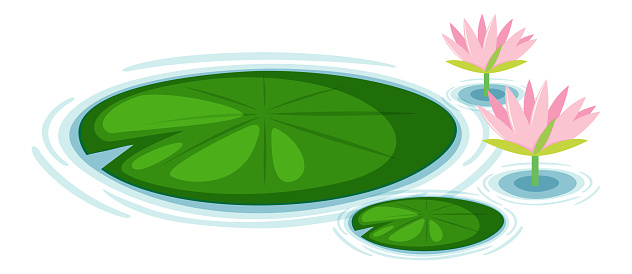 Water Lily Pads Vector illustration