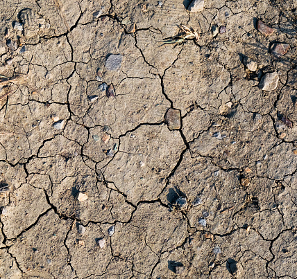 Soil cracked background. Top down shot of very dry earth with tears and stones. Water shortage concept. Global warming concept.