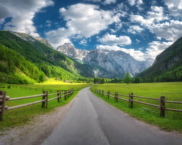 고산 산의 시골 길, 나무 울타리, 푸른 초원, 슬로베니아 로가르 계곡의 여름 나무. 시골길. 도로, 바위, 들판, 잔디, 해질녘 구름이 있는 푸른 하늘이 있는 다채로운 풍경 - footpath european alps fence woods 뉴스 사진 이미지