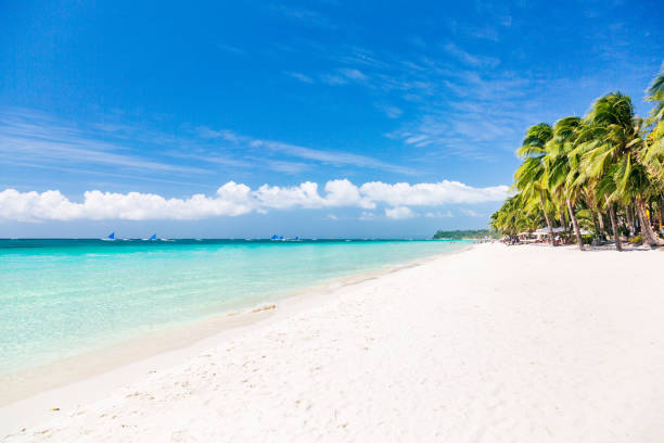 Boracay Island's White Sand Beach: Pristine Shoreline with Crystal Clear Turquoise Waters and Palm Trees.