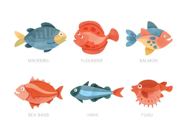 Vector illustration of Freshwater and Saltwater Fish as Seafood Depicted in Flat Style Vector Set