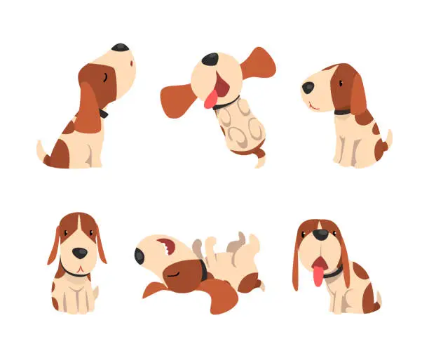 Vector illustration of Jack Russell Terrier Dog with Cute Snout and Coat with Brown Spot in Different Pose Vector Set