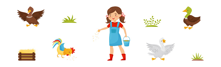 Little Smiling Girl and Farm Poultry Feeding Vector Set. Kid Farmer Giving Grain to Birds as Rural and Country Yard